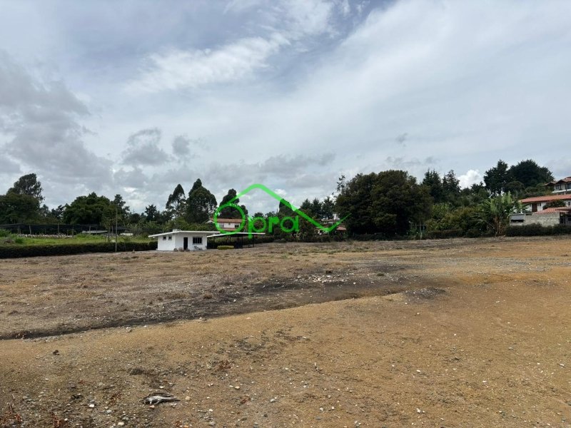 Lote disponible para Arriendo en Rionegro Sector Aeropuerto Foto numero 1